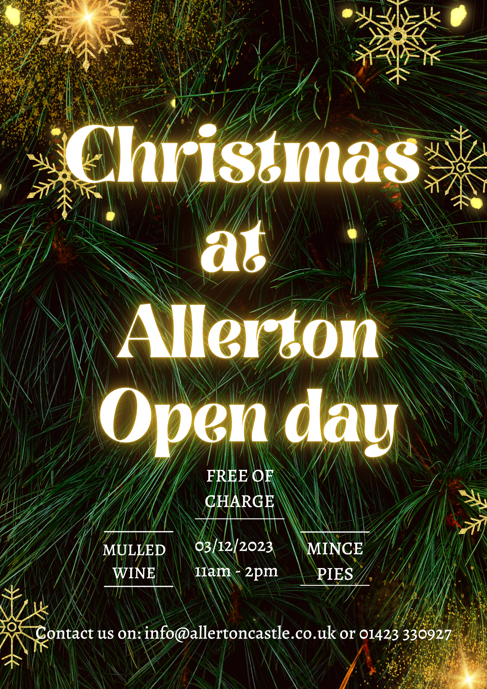 Christmas Open Day - 3rd December 2023